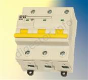 Istice_RX-B_15.JPG